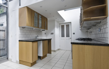 Wood Dalling kitchen extension leads